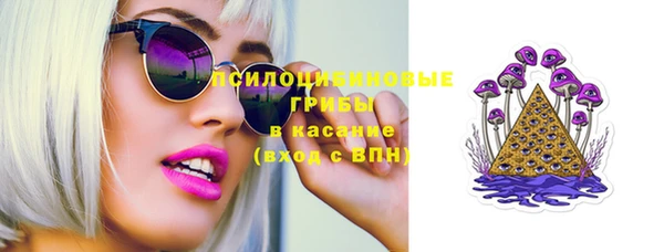 мяу мяу мука Бородино