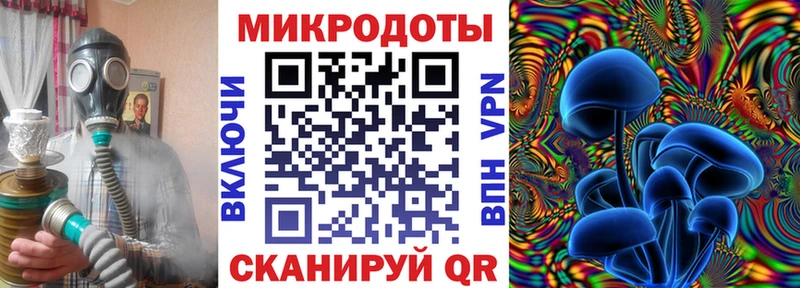 Псилоцибиновые грибы Psilocybine cubensis  Новый Уренгой 